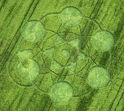2012crop circles mayan connection. 2012crop circles mayan