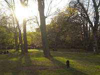 Sunrise in the park