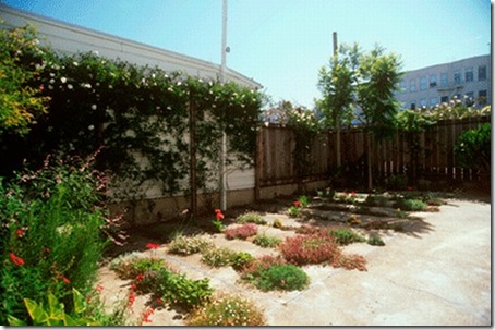 crack_garden