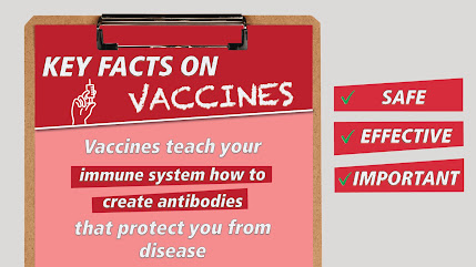 vaccines help you create antibodies against disease