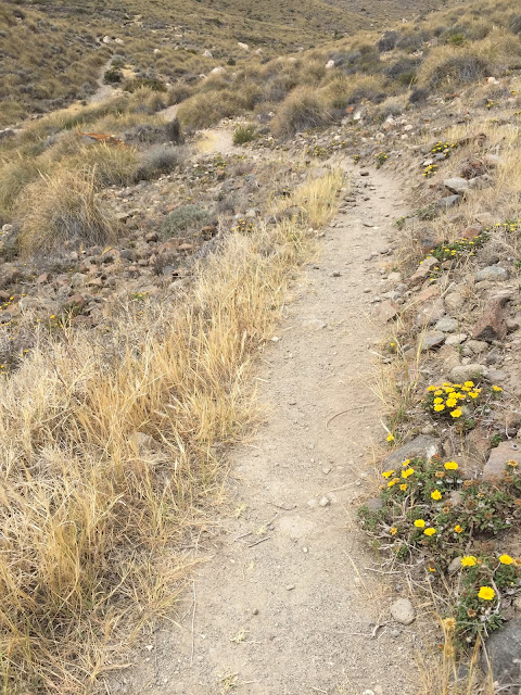 The route to Torre de los Lobos, Almeria