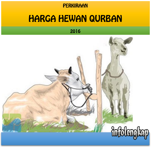 NEW!! Harga Kambing dan Sapi Kurban 2016  Info Lengkap