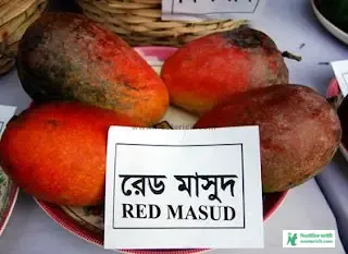 Mango Name and Image - Mango Image Download - Raw Mango Picture, Pic - mango pic -NeotericIT.com - Image no 7