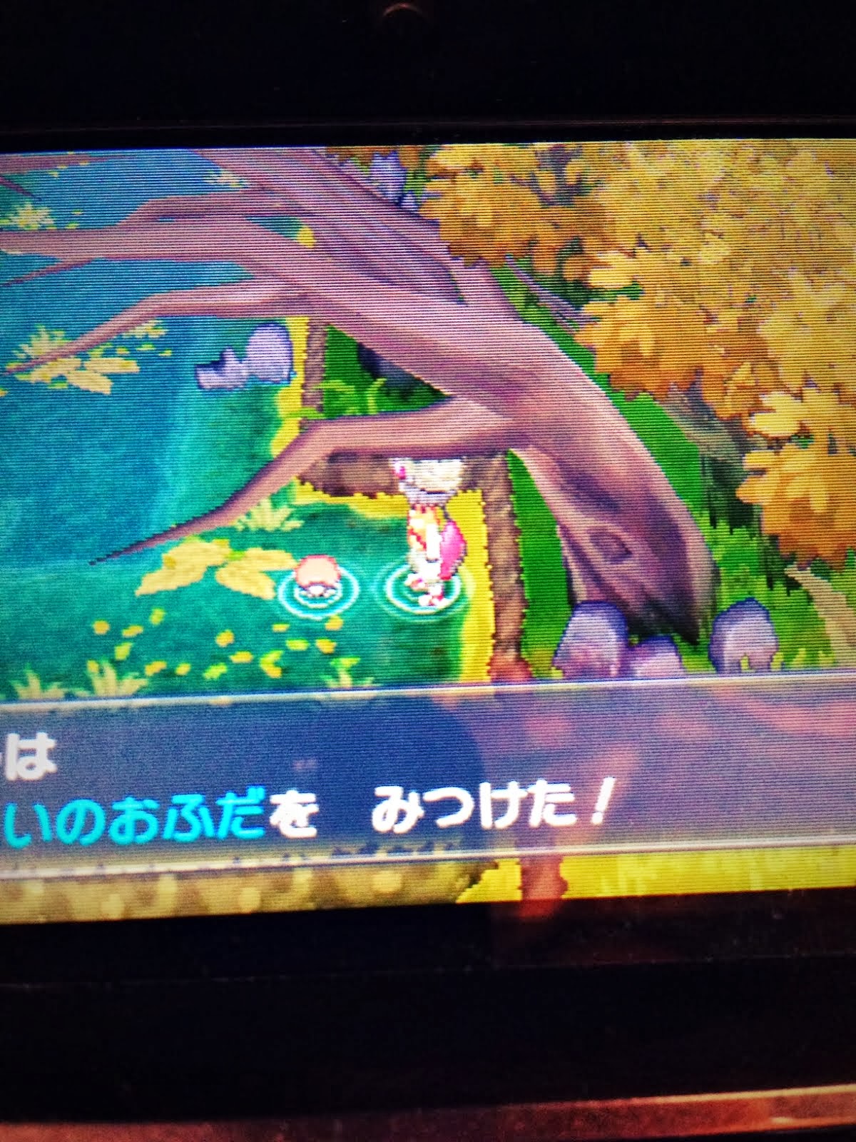 ポケモン サン ムーンの方法のやり方 ポケモンxy のろいのおふだ の場所 ポケモン サン ムーンの方法のやり方 ポケモンxy のろいのおふだ の場所