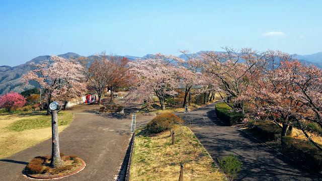秩父 小鹿野 長瀞 小川町
