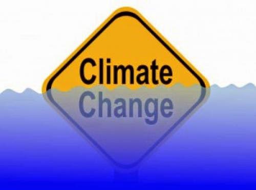 Briquette Machine Project To Prevent Climate Change