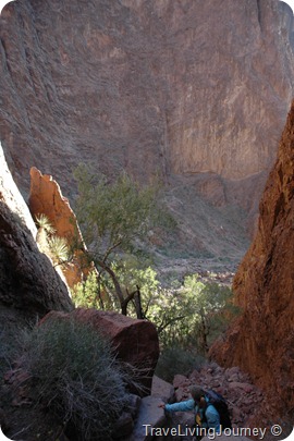 PalmCanyon 093