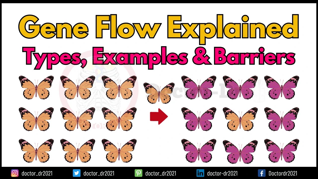 Gene Flow: Mechanisms, Examples, Barriers, and Evolutionary Significance in Genetics
