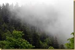 IMG_0790