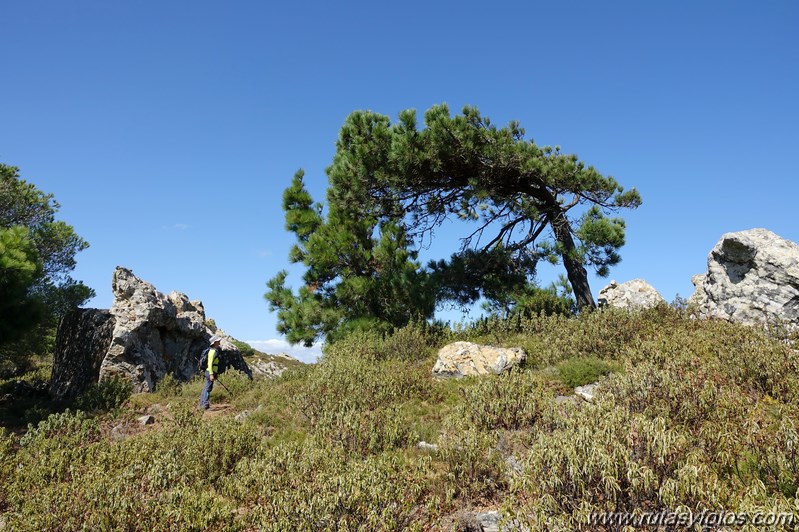 Los Algarbes - Betijuelo - San Bartolomé - Punta Paloma - Duna de Valdevaqueros