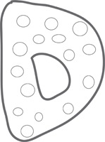 d