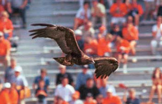 Auburn- War Eagle.