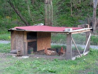 chickens near Caretta WV