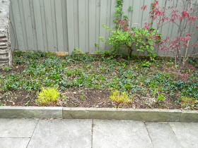 Cabbagetown Spring Garden Cleanup Back Yard After by Paul Jung Gardening Services--a Toronto Organic Gardening Company