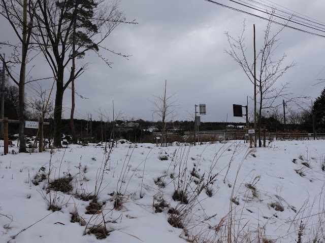 鳥取県西伯郡伯耆町丸山　伯耆町 交流の森