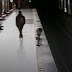 Un adolescente salva a un niño de 2 años que cayó a las vías del tren.(VER EL VIDEO AQUI)
