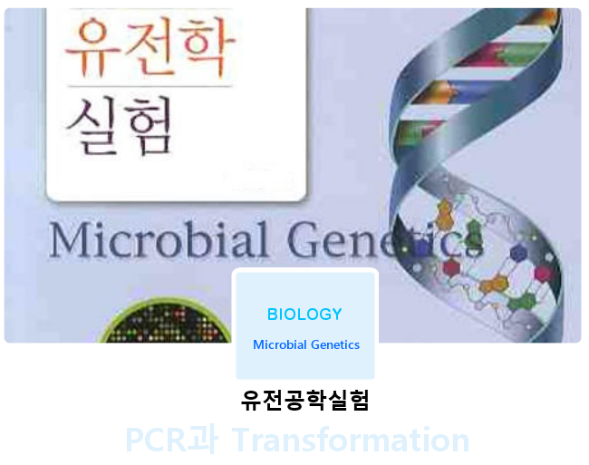 [유전공학실험]PCR과 Transformation 2부