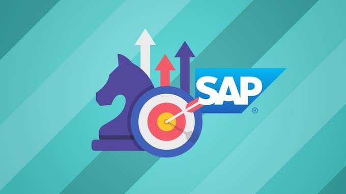Become an SAP ERP Consultant - Lite [Free Course]