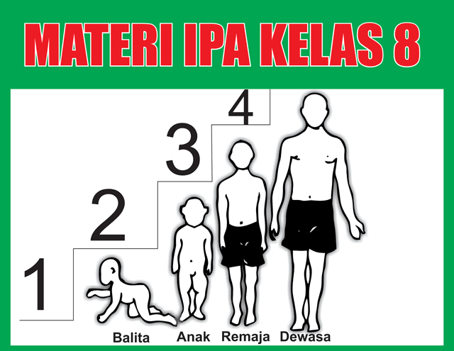  mulai diperkenalkan kepada anak didik mulai dari tingkat SD Sekolah Menengah Pertama Sekolah Menengan Atas dan Sekolah Menengah kejuruan Materi IPA Kelas 8 Semester 1/2 Lengkap