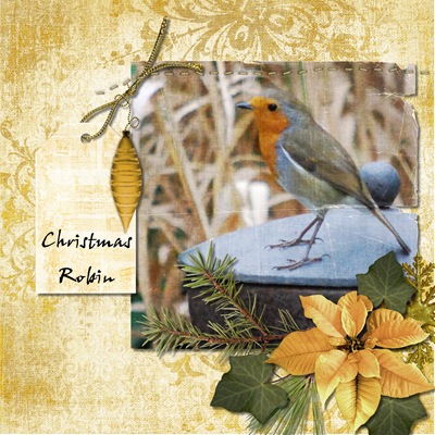 Christmas Robin