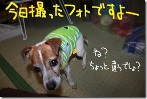 今日カズ１００４１３　３