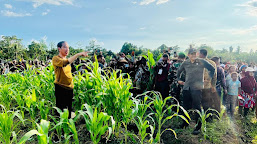 Harapan Petani Kabupaten Keerom terhadap Lumbung Pangan Jagung