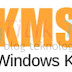 Download Kmspico 10.2.0 | Windows Kms Activator