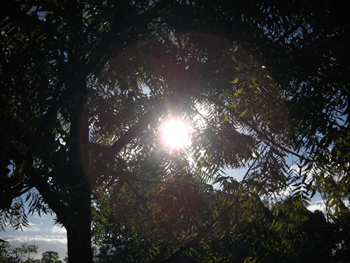 DSCN4387