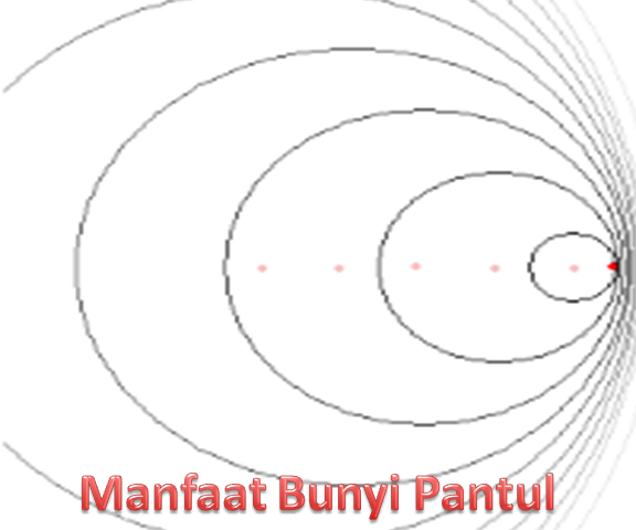 Manfaat Bunyi Pantul - Materi Pelajaran SD