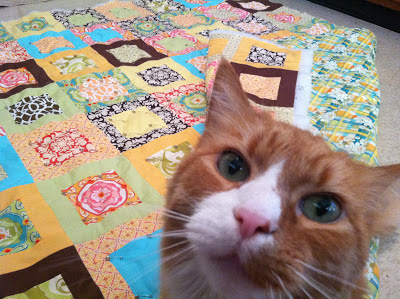 cat and michael miller quilt