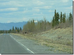 Spot the moose's butt!  Part 2