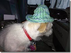 IMG_0596