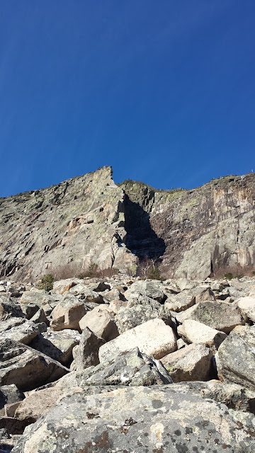 Cannon Cliffs loop bushwhack, Cannon Mountain, Franconia Notch State Park