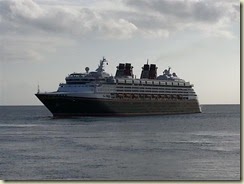 20140315_disney wonder (Small)