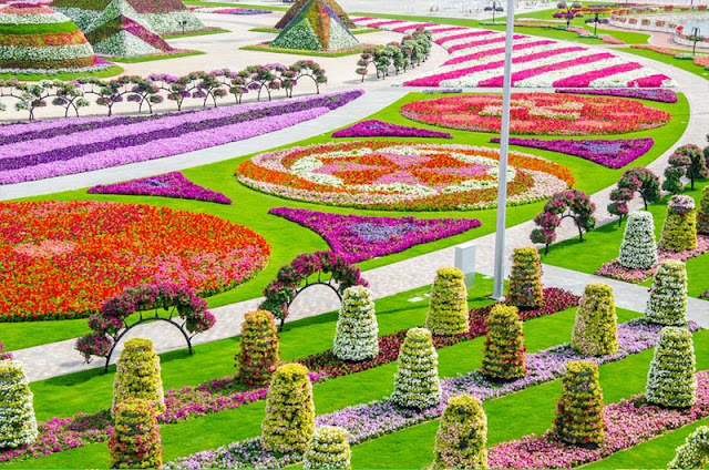 The Miracle Garden Dubai