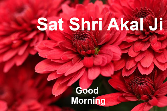 Sat Shri Akal Ji Good Morning