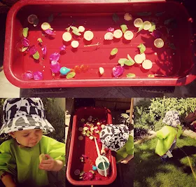 water tray with rose petals and lime