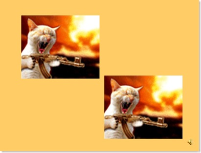 gatinho jpeg