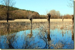 Jezero_lago_2011.IgorC.