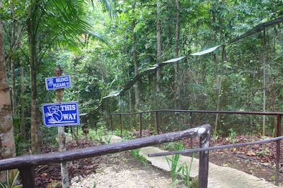 Tarsier Conservation Area