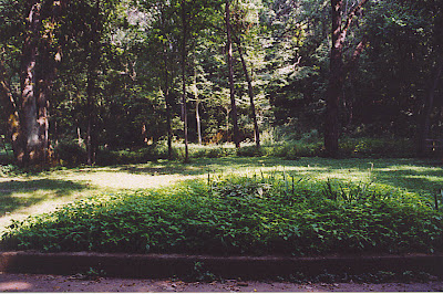 The Pavilion today, Union Park, Dubuque, IA