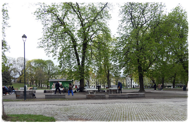 Det grønnes i Sofienbergparken i Oslo.