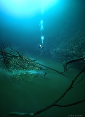 foto sungai dalam laut