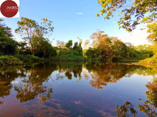 Belezas naturais fotografadas às margens dos rios Itapicuru Mirim e São Francisco.