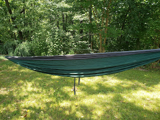 June 2022 hammock back yard