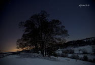 Meadow in Winter