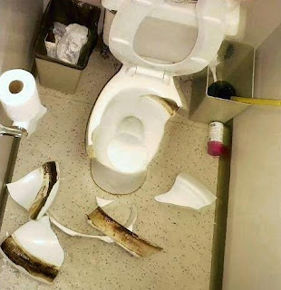ASIKTAU Inilah Bahaya Jongkok  Diatas WC  Duduk Wajib Masuk