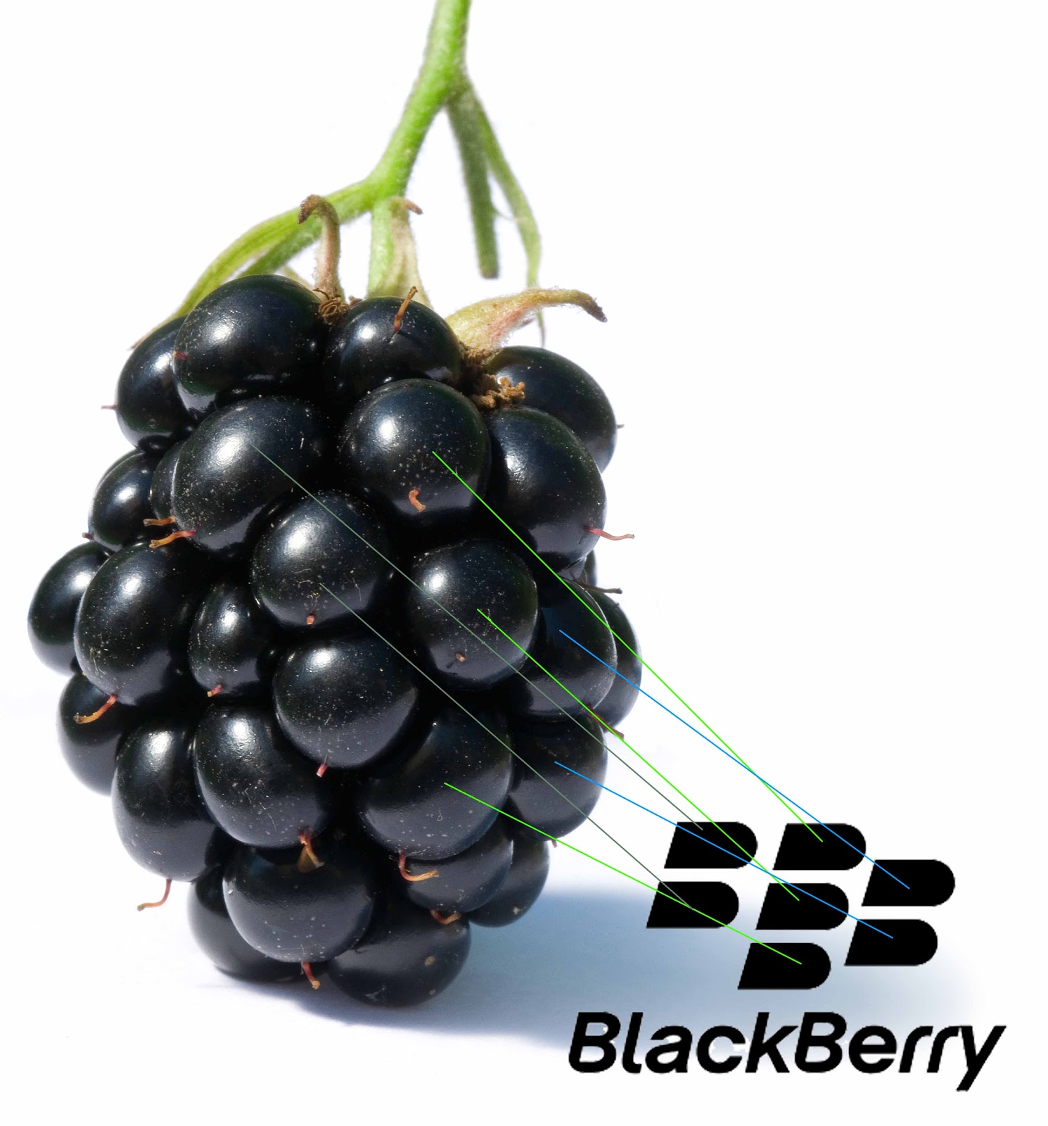 Penemu BlackBerry - Mike Lazaridis
