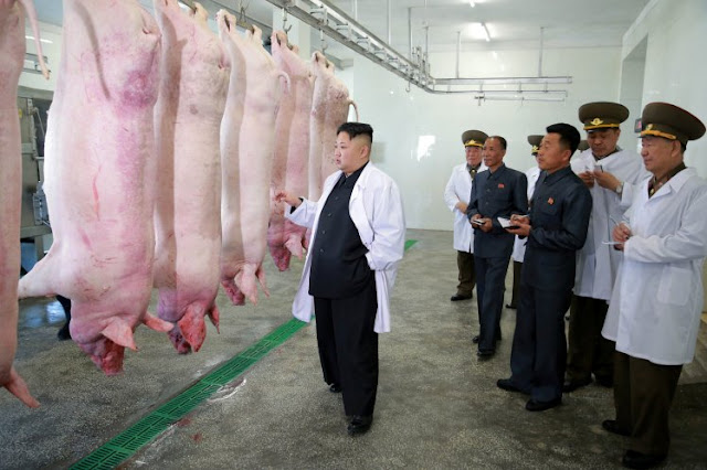 Kim Jong Un has chosen to prioritise a visit to a pig farm