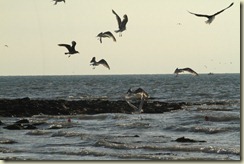Wales 5-8-2012 178